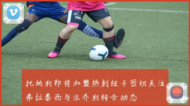 托纳利即将加盟热刺纽卡密切关注弗拉泰西与法乔利转会动态