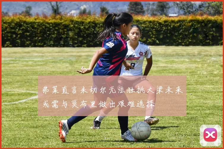 弗莱直言米切尔无法独挑大梁未来或需与莫布里做出艰难选择